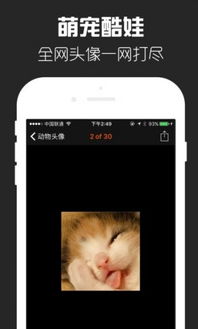 头像工厂最新版下载预约指南